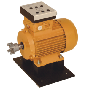 MV1009-695 Induction Motor Squirrel Cage